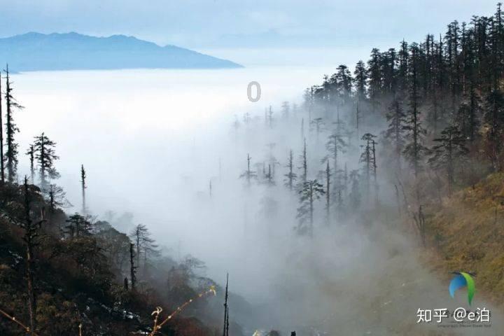 逗小猴开心系列192