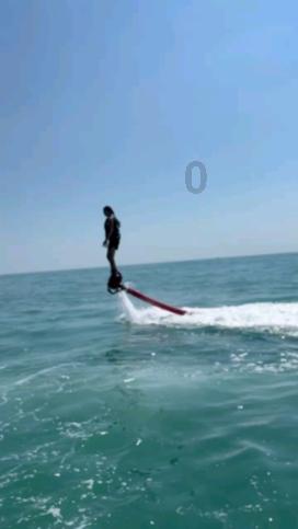 吃什么能够提高免疫力？??