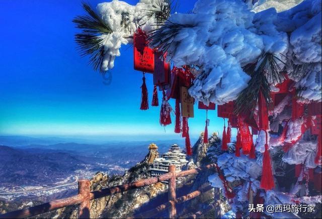 森迪公主快乐的一天
